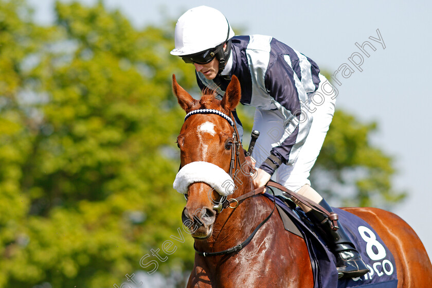 Liquid-Amber-0001 
 LIQUID AMBER (W J Lee) Newmarket 6 May 2018 - Pic Steven Cargill / Racingfotos.com