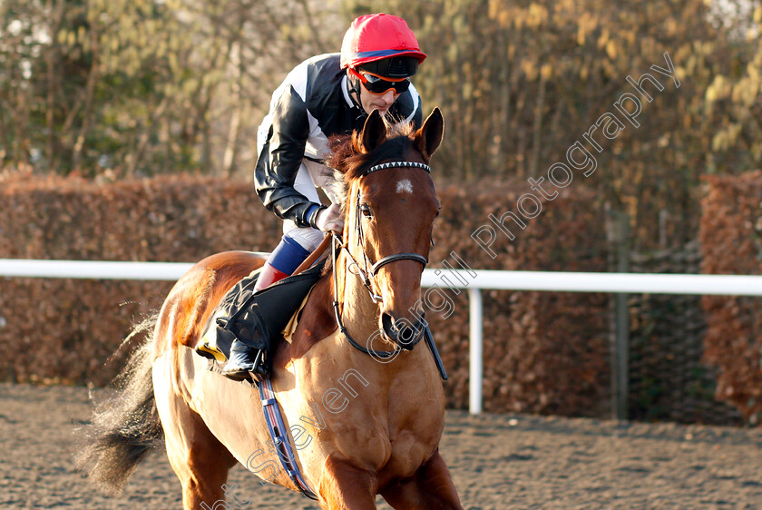 Katie-Lee-0001 
 KATIE LEE (Fran Berry) winner of The 100% Profit Boost At 32Redsport.com Handicap
Kempton 4 Jan 2019 - Pic Steven Cargill / Racingfotos.com