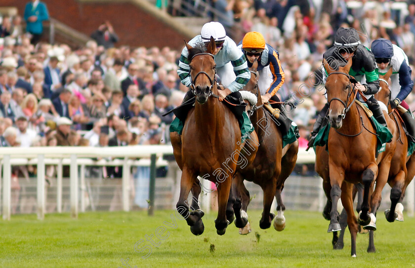 Quickthorn-0004 
 QUICKTHORN (left, Tom Marquand) leads RIVER OF STARS (Rossa Ryan, right)
York 25 Aug 2023 - Pic Steven Cargill / Racingfotos.com