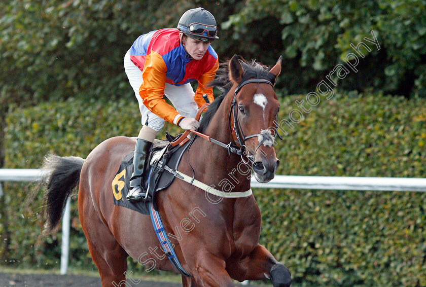 Non-Stop 
 NON STOP (Kieran O'Neill)
Kempton 6 Oct 2021 - Pic Steven Cargill / Racingfotos.com