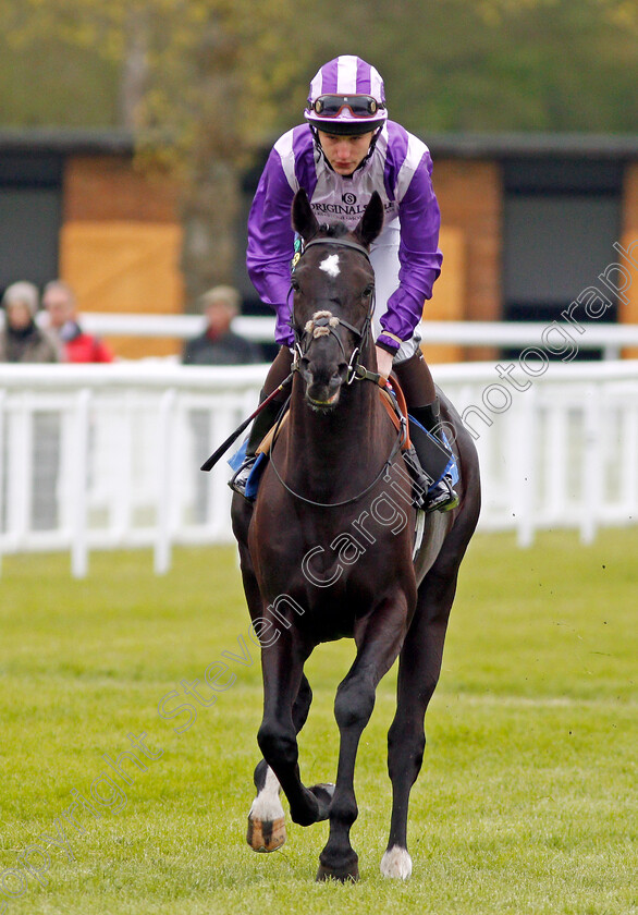 Flintrock-0001 
 FLINTROCK (Joshua Bryan) Salisbury 29 Apr 2018 - Pic Steven Cargill / Racingfotos.com