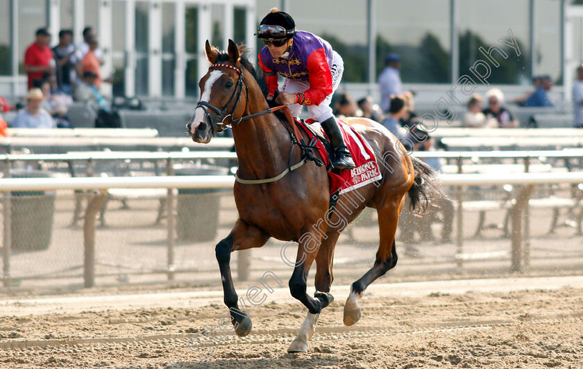 Call-To-Mind-0004 
 CALL TO MIND (Javier Castellano) before The Belmont Gold Cup Invitational Stakes
Belmont Park 8 Jun 2018 - Pic Steven Cargill / Racingfotos.com