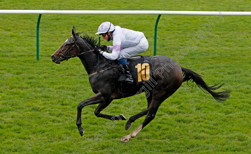 Urban-Violet-0004 
 URBAN VIOLET (William Buick) wins The Prestige Vehicles British EBF Fillies Novice Stakes Div1
Newmarket 31 Oct 2020 - Pic Steven Cargill / Racingfotos.com