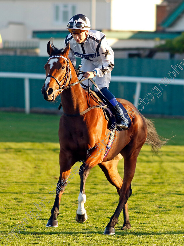 Lucia-Joy-0001 
 LUCIA JOY (Benoit de la Sayette)
Yarmouth 18 Oct 2022 - Pic Steven Cargill / Racingfotos.com