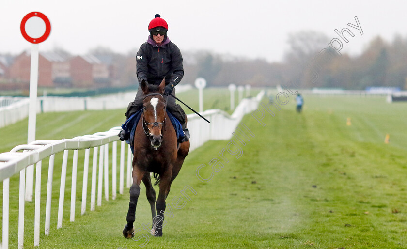 Shakem-Up Arry-0001 
 SHAKEM UP'ARRY
Coral Gold Cup gallops morning Newbury 19 Nov 20234 - Pic Steven Cargill / Racingfotos.com