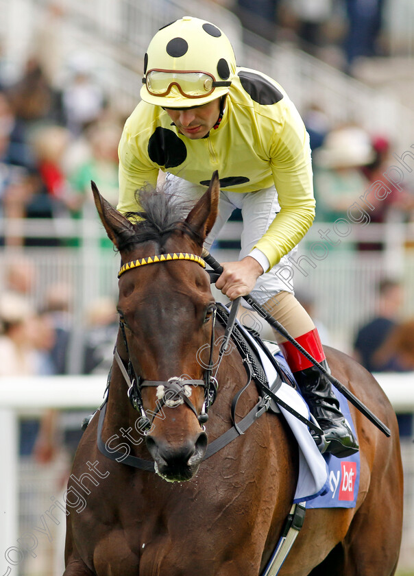 Without-A-Fight-0001 
 WITHOUT A FIGHT (Andrea Atzeni) winner of The Sky Bet Grand Cup
York 11 Jun 2022 - Pic Steven Cargill / Racingfotos.com