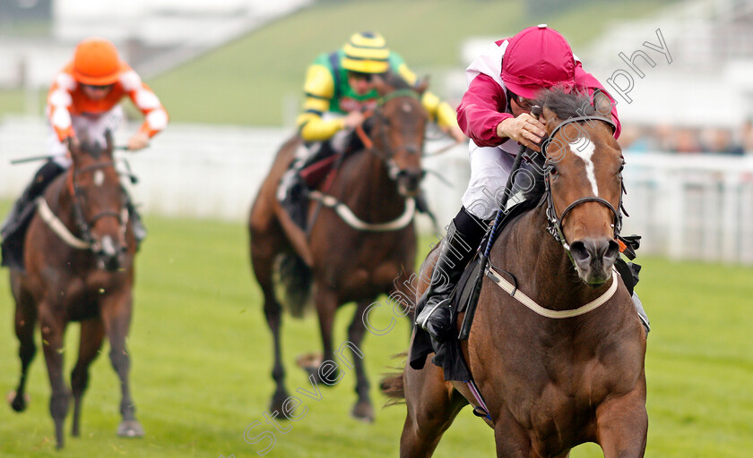 Pastamakesufaster-0004 
 PASTAMAKESUFASTER (John Egan) wins The TBA Small Breeders Fillies Stakes Goodwood 27 Sep 2017 - Pic Steven Cargill / Racingfotos.com