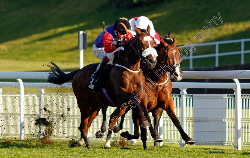 Natural-History-0005 
 NATURAL HISTORY (left, Oisin Murphy) beats GOSHEN (right) in The Join tote.co.uk Handicap
Goodwood 11 Oct 2020 - Pic Steven Cargill / Racingfotos.com