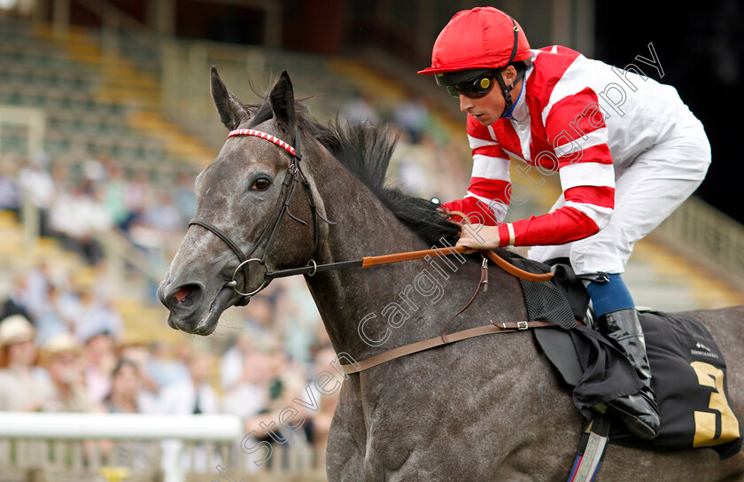 Ashky-0007 
 ASHKY (William Buick) wins The Turners Handicap
Newmarket 30 Jul 2022 - Pic Steven Cargill / Racingfotos.com