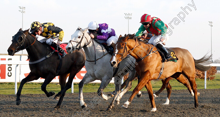 Holdenhurst-0002 
 HOLDENHURST (centre, John Egan) beats DISTANT APPLAUSE (right) and MERCERS (left) in The Wise Betting At racingtv.com Handicap
Kempton 4 Jan 2019 - Pic Steven Cargill / Racingfotos.com