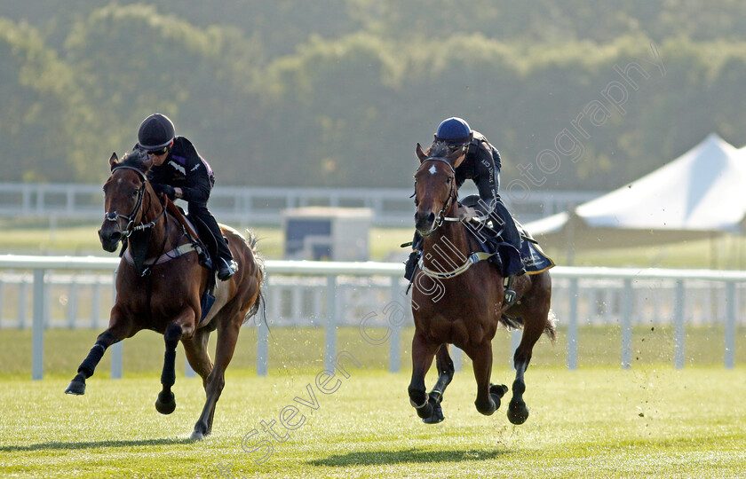 Coolangatta-0007 
 COOLANGATTA (right, James McDonald) preparing for Royal Ascot
Ascot 14 Jun 2023 - Pic Steven Cargill / Racingfotos.com