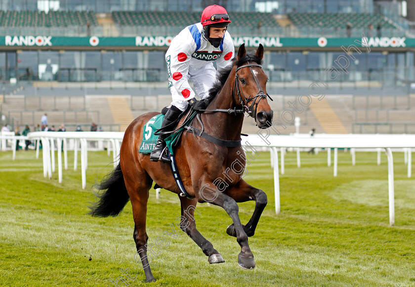 Protektorat-0001 
 PROTEKTORAT (Harry Skelton) winner of The SSS Super Alloys Manifesto Novices Chase
Aintree 8 Apr 2021 - Pic Steven Cargill / Racingfotos.com