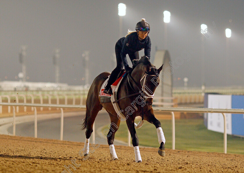 Life-Is-Good-0011 
 LIFE IS GOOD training for the Dubai World Cup
Meydan, Dubai, 22 Mar 2022 - Pic Steven Cargill / Racingfotos.com