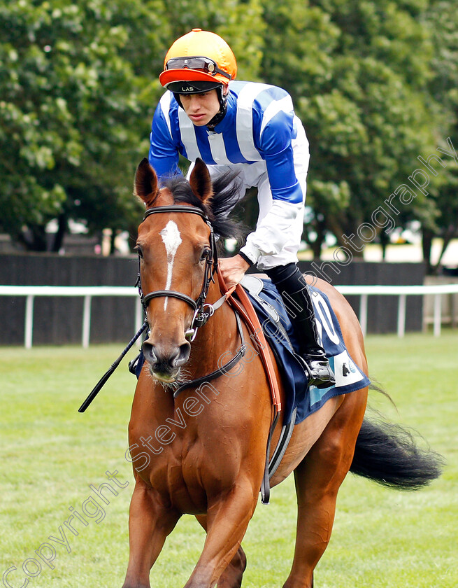 Rosa-Mystica-0001 
 ROSA MYSTICA (George Rooke)
Newmarket 31 Jul 2021 - Pic Steven Cargill / Racingfotos.com