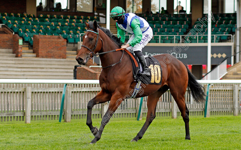 Substantial-0001 
 SUBSTANTIAL (Tom Marqaund)
Newmarket 30 Oct 2020 - Pic Steven Cargill / Racingfotos.com