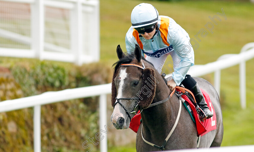 Eddie s-Boy 
 EDDIE'S BOY (Hollie Doyle)
Sandown 1 Jul 2022 - Pic Steven Cargill / Racingfotos.com