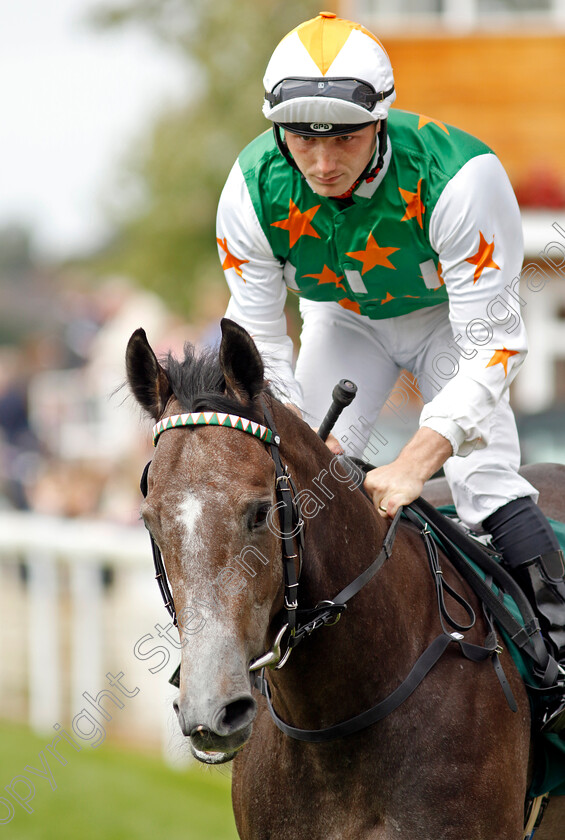 Sensorium-0001 
 SENSORIUM (Rhys Clutterbuck)
York 22 Aug 2024 - pic Steven Cargill / Racingfotos.com