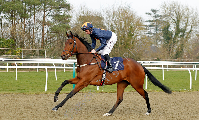 Ahlain-0001 
 AHLAIN (Rossa Ryan)
Lingfield 7 Mar 2024 - Pic Steven Cargill / Racingfotos.com