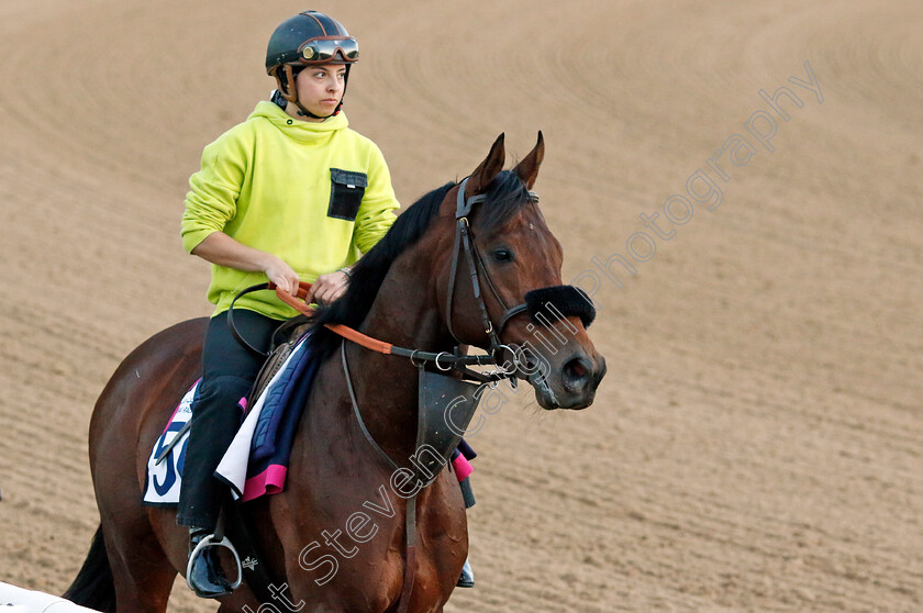 Russipant-Fal-0001 
 RUSSIPANT FAL training at the Dubai Racing Carnival 
Meydan 2 Jan 2025 - Pic Steven Cargill / Racingfotos.com