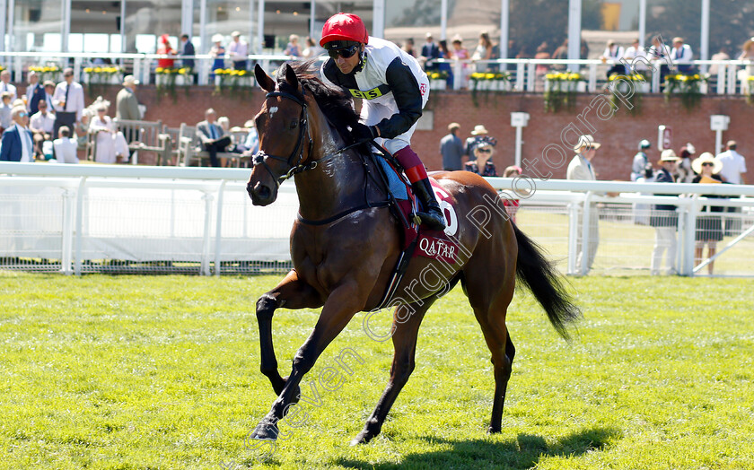 Precious-Ramotswe-0001 
 PRECIOUS RAMOTSWE (Frankie Dettori) 
Goodwood 2 Aug 2018 - Pic Steven Cargill / Racingfotos.com