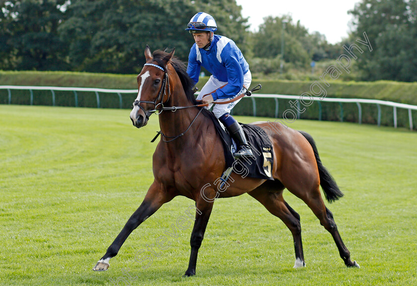 Motagally-0001 
 MOTAGALLY (Jim Crowley)
Nottingham 10 Aug 2021 - Pic Steven Cargill / Racingfotos.com