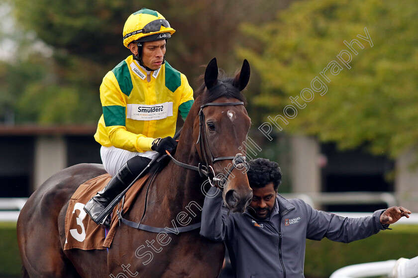 Specifically-0001 
 SPECIFICALLY (Sean Levey)
Kempton 2 Oct 2024 - pic Steven Cargill / Racingfotos.com