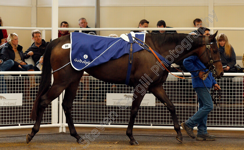 Lot-0098-Wedding-Photo-£25000-0002 
 Lot 098 WEDDING PHOTO selling for £25000 at Tattersalls Ireland Ascot November Sale 9 Nov 2017 - Pic Steven Cargill / Racingfotos.com