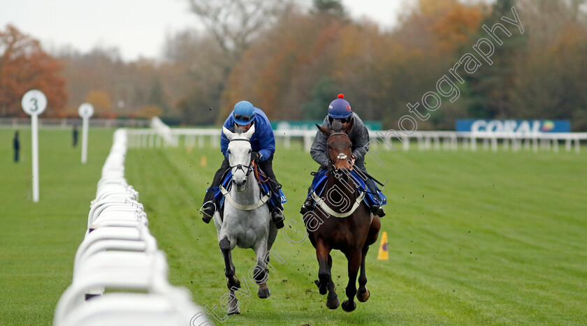 Eldorado-Allen-and-Rightsotom-0002 
 ELDORADO ALLEN (left) with RIGHTSOTOM (right) 
Coral Gold Cup Gallops Morning
Newbury 21 Nov 2023 - Pic Steven Cargill / Racingfotos.com