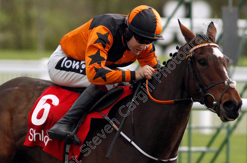 Put-The-Kettle-On-0004 
 PUT THE KETTLE ON (Aidan Coleman) wins The Shloer Chase
Cheltenham 15 Nov 2020 - Pic Steven Cargill / Racingfotos.com