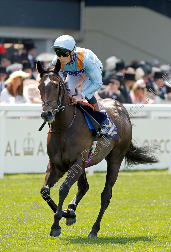 Maylandsea 
 MAYLANDSEA (David Egan)
Royal Ascot 15 Jun 2022 - Pic Steven Cargill / Racingfotos.com