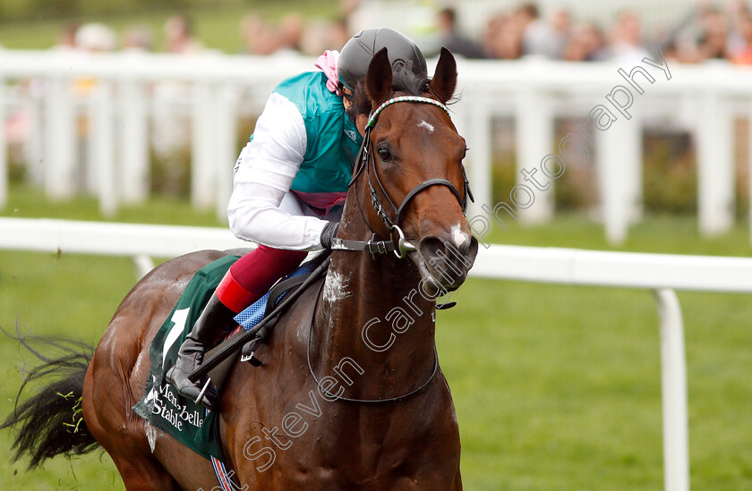 Calyx-0009 
 CALYX (Frankie Dettori) wins The Merriebelle Stable Commonwealth Cup Trial Stakes
Ascot 1 May 2019 - Pic Steven Cargill / Racingfotos.com