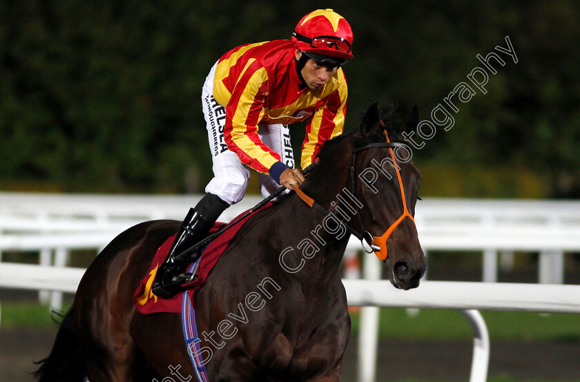 Sonnetist-0001 
 SONNETIST (Sean Levey) Kempton 4 Oct 2017 - Pic Steven Cargill / Racingfotos.com