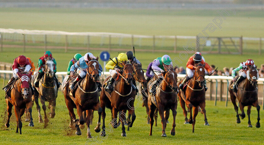 Astral-Beau-0006 
 ASTRAL BEAU (Shane Kelly) wins The Christmas Parties At Newmarket Handicap
Newmarket 29 Oct 2022 - Pic Steven Cargill / Racingfotos.com