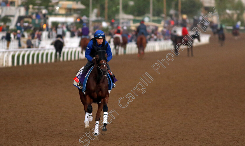 With-The-Moonlight-0001 
 WITH THE MOONLIGHT training for The Breeders' Cup Filly & Mare Turf
Santa Anita 2 Nov 2023 - Pic Steven Cargill / Racingfotos.com