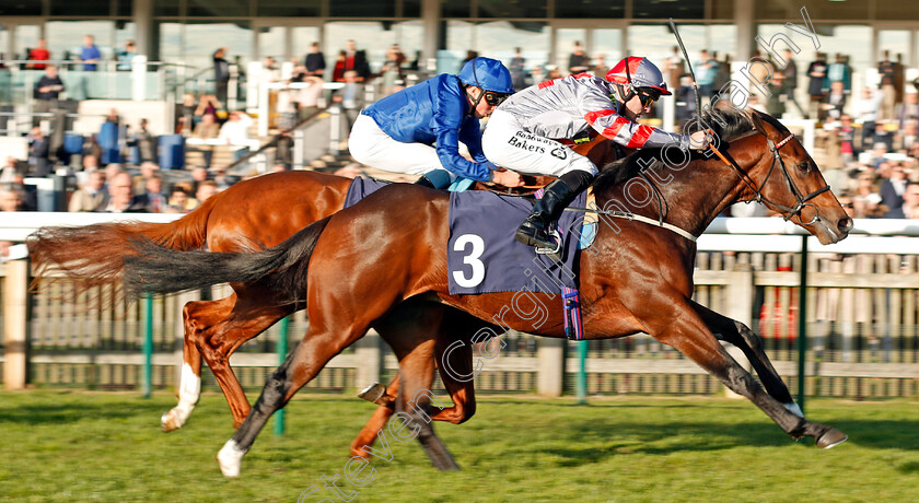 Knight-To-Behold-0004 
 KNIGHT TO BEHOLD (Richard Kingscote) wins The British EBF Racing UK Novice Stakes Newmarket 25 Oct 2017 - Pic Steven Cargill / Racingfotos.com