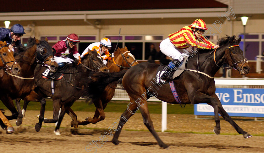 Wimpole-Hall-0003 
 WIMPOLE HALL (Gaia Boni) wins The Celebrate November's Hero Richard Shepherd Handicap
Chelmsford 19 Nov 2019 - Pic Steven Cargill / Racingfotos.com