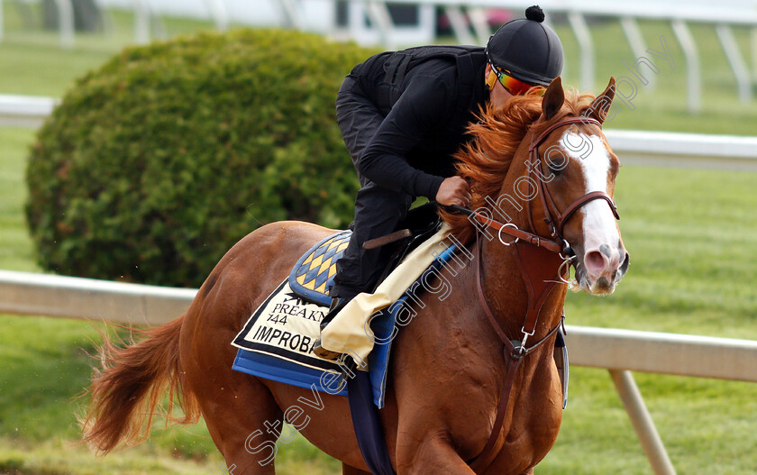 Improbable-0009 
 IMPROBABLE exercising in preparation for the Preakness Stakes
Pimlico, Baltimore USA, 16 May 2019 - Pic Steven Cargill / Racingfotos.com