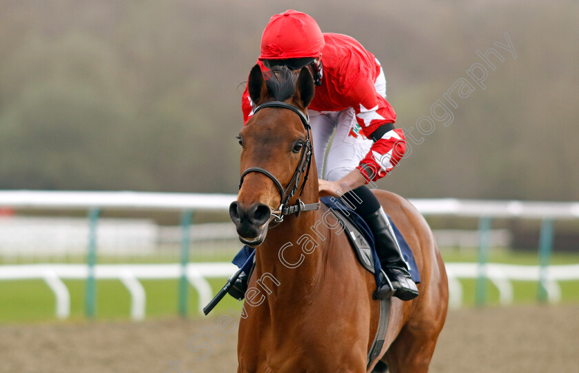 Road-To-Wembley-0001 
 ROAD TO WEMBLEY (Finley Marsh) wins The Download The Raceday Ready App Handicap
Lingfield 4 Apr 2024 - Pic Steven Cargill / Racingfotos.com