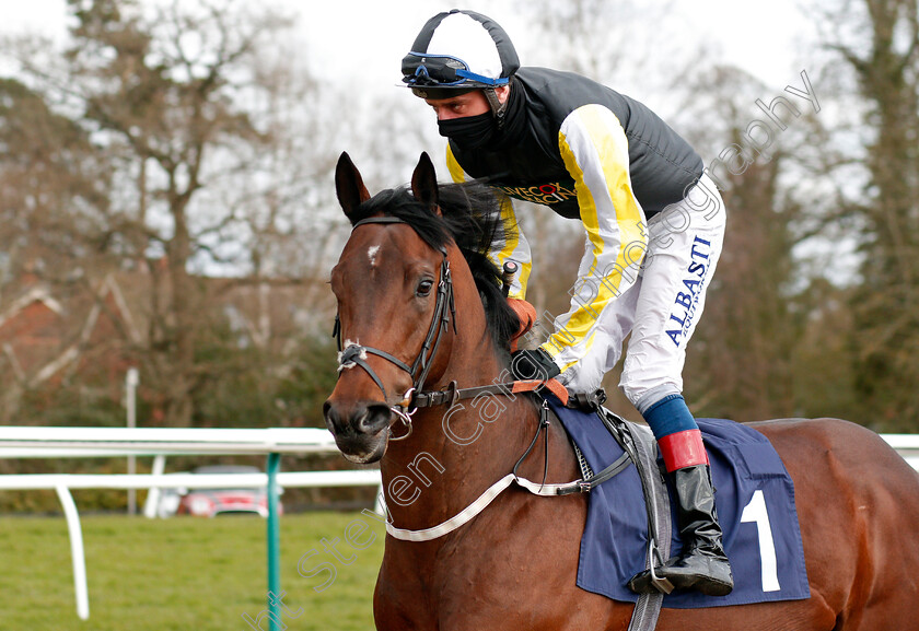 Breath-Of-Sun-0002 
 BREATH OF SUN (Adam Kirby) winner of The Betway Novice Stakes
Lingfield 6 Mar 2021 - Pic Steven Cargill / Racingfotos.com