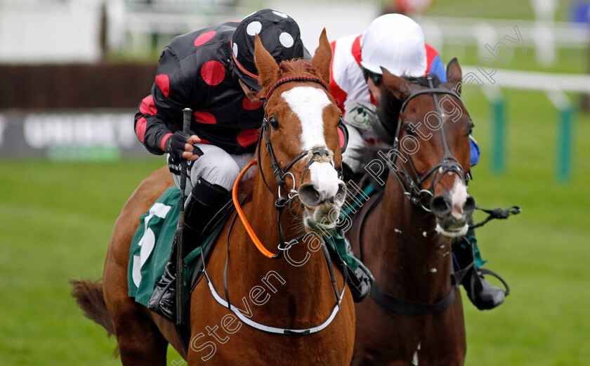 Whimsy-0002 
 WHIMSY (J P O'Sullivan)
Cheltenham 17 Nov 2024 - Pic Steven Cargill / Racingfotos.com