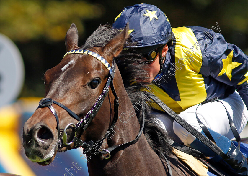 Peace-Of-Mine-0007 
 PEACE OF MINE (William Buick) wins The Byerley Stud British EBF Restricted Maiden Stakes
Salisbury 11 Aug 2022 - Pic Steven Cargill / Racingfotos.com