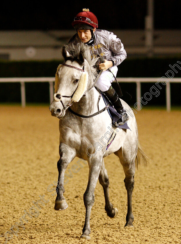 Fenjal-0001 
 FENJAL (Luke Morris)
Wolverhampton 7 Jan 2019 - Pic Steven Cargill / Racingfotos.com