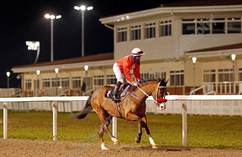 Sweet-Candy-Dale-0001 
 SWEET CANDY DALE (Levi Williams)
Chelmsford 22 Jan 2021 - Pic Steven Cargill / Racingfotos.com