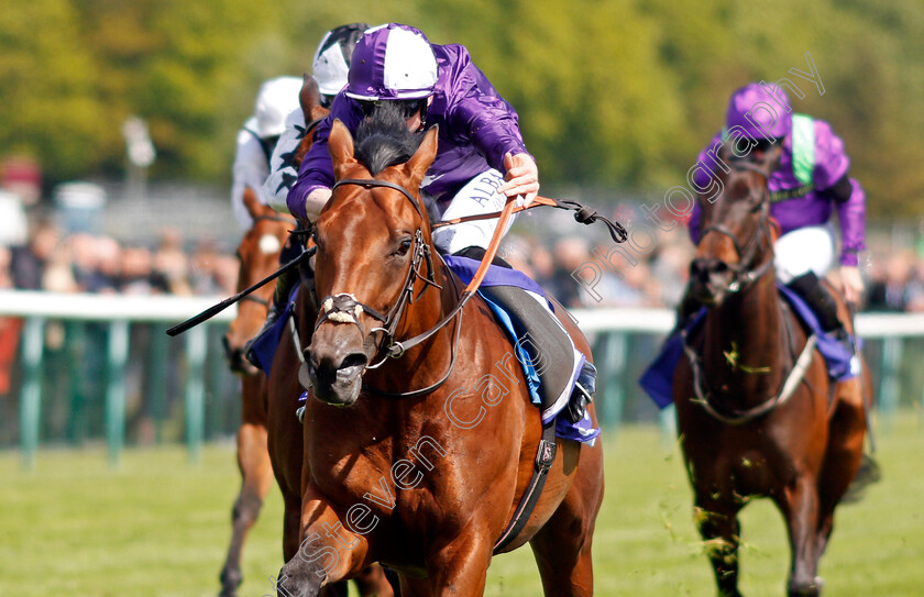 Raadobarg-0005 
 RAADOBARG (Jack Mitchell) wins The Join Casumo Today Silver Bowl Handicap
Haydock 22 May 2021 - Pic Steven Cargill / Racingfotos.com