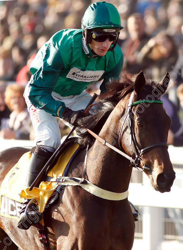 Cracker-Factory-0001 
 CRACKER FACTORY (Daryl Jacob)
Cheltenham 17 Nov 2018 - Pic Steven Cargill / Racingfotos.com