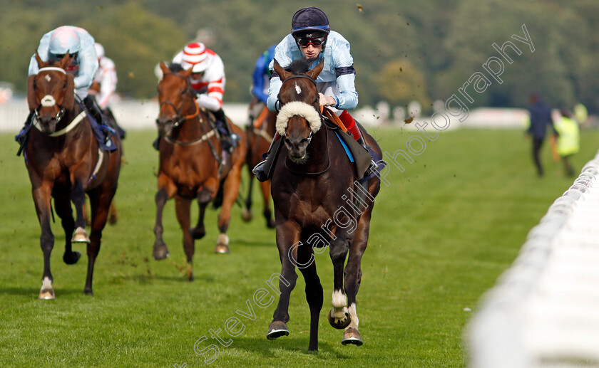 Title-0006 
 TITLE (David Egan) wins The Hippo Pro 3 Handicap
Doncaster 11 Sep 2021 - Pic Steven Cargill / Racingfotos.com