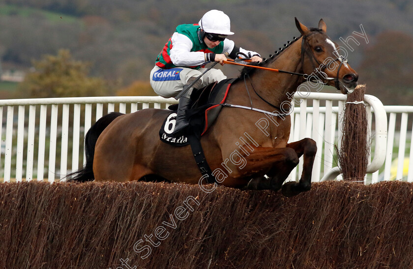 Westerninthepark-0001 
 WESTERNINTHEPARK (Sean Bowen) 
Cheltenham 17 Nov 2024 - Pic Steven Cargill / Racingfotos.com