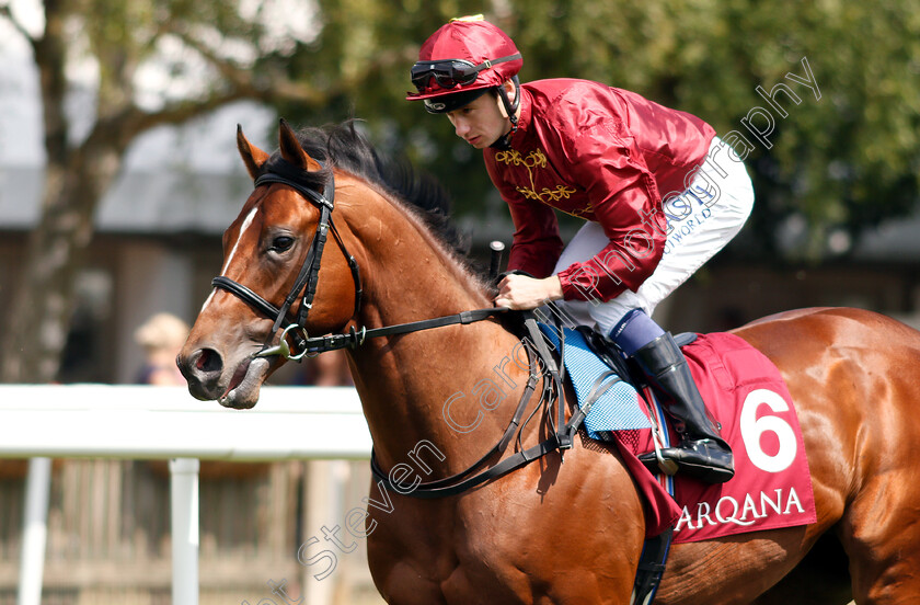 Legends-Of-War-0001 
 LEGENDS OF WAR (Oisin Murphy)
Newmarket 12 Jul 2018 - Pic Steven Cargill / Racingfotos.com