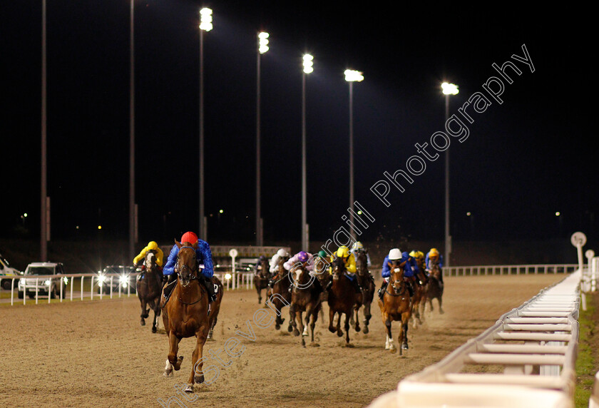 Royal-Mews-0001 
 ROYAL MEWS (James Doyle) wins The tote.co.uk Now Never Beaten By SP Maiden Stakes
Chelmsford 8 Oct 2020 - Pic Steven Cargill / Racingfotos.com