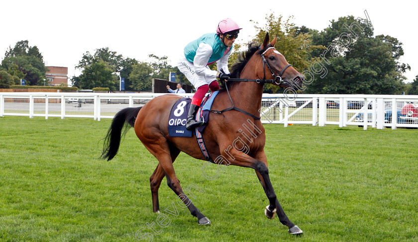 Enable-0006 
 ENABLE (Frankie Dettori) before The King George VI & Queen Elizabeth Stakes
Ascot 27 Jul 2019 - Pic Steven Cargill / Racingfotos.com